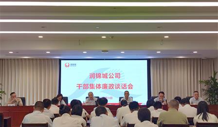 UG环球公司党总支召开干部整体廉政谈话会