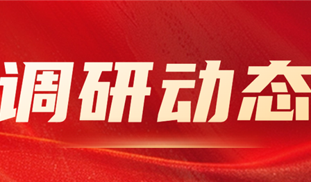 集团公司纪委委员、总会计师袁媛赴UG环球公司开展资产治理专项调研